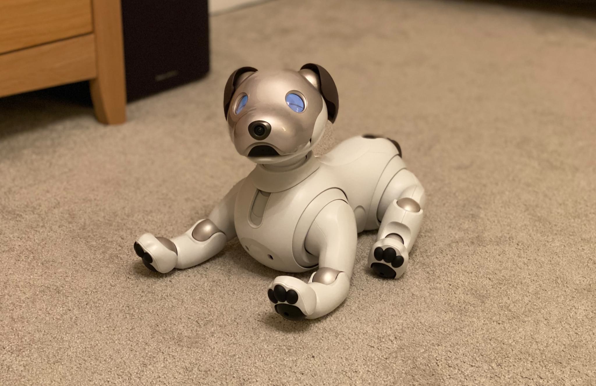 Sony Aibo Review: What It's Like To Live With a $2,900 Robot Dog