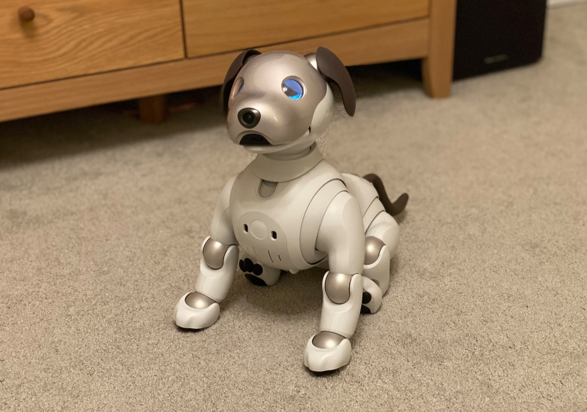 Sony Aibo