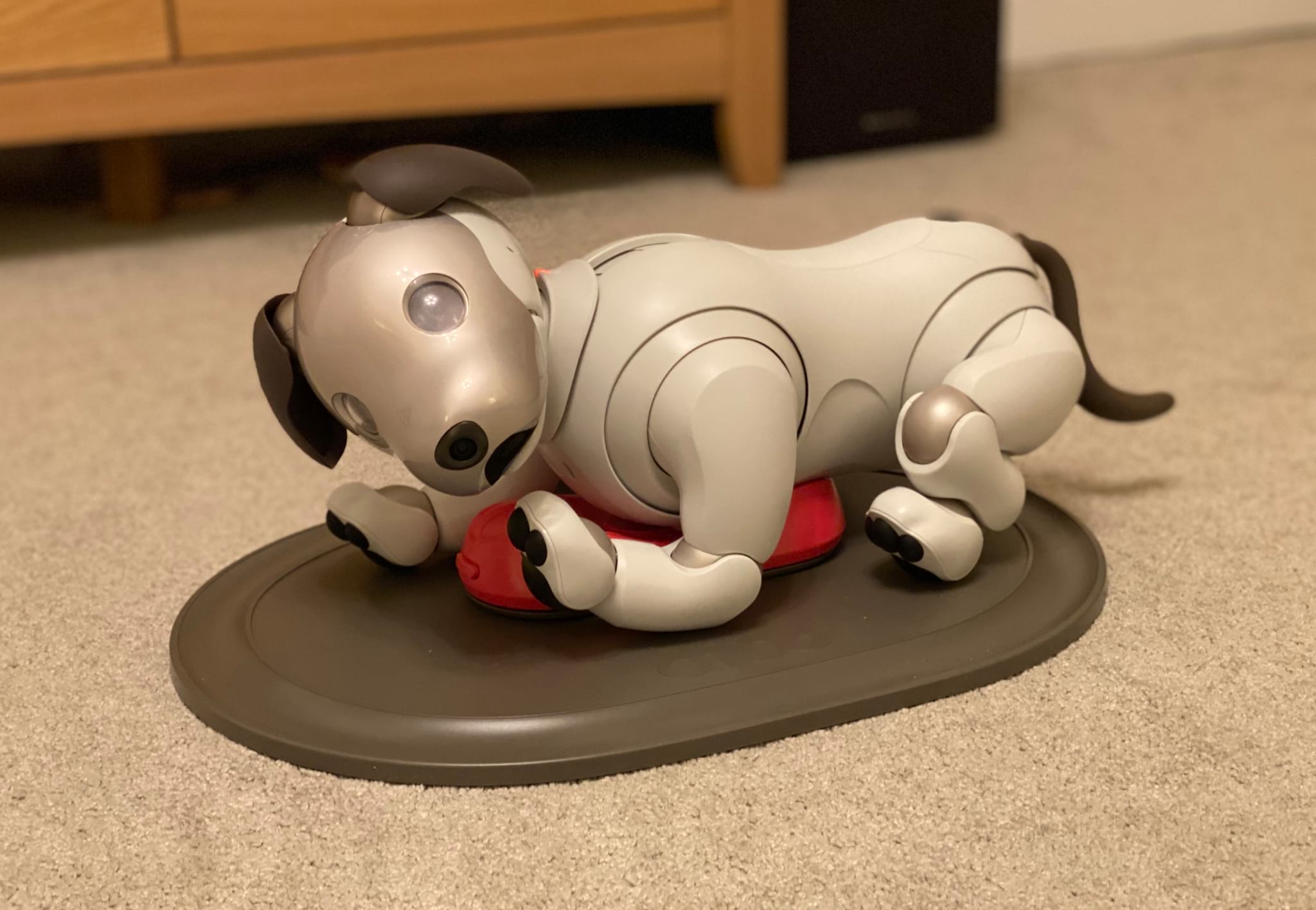 Sony Aibo